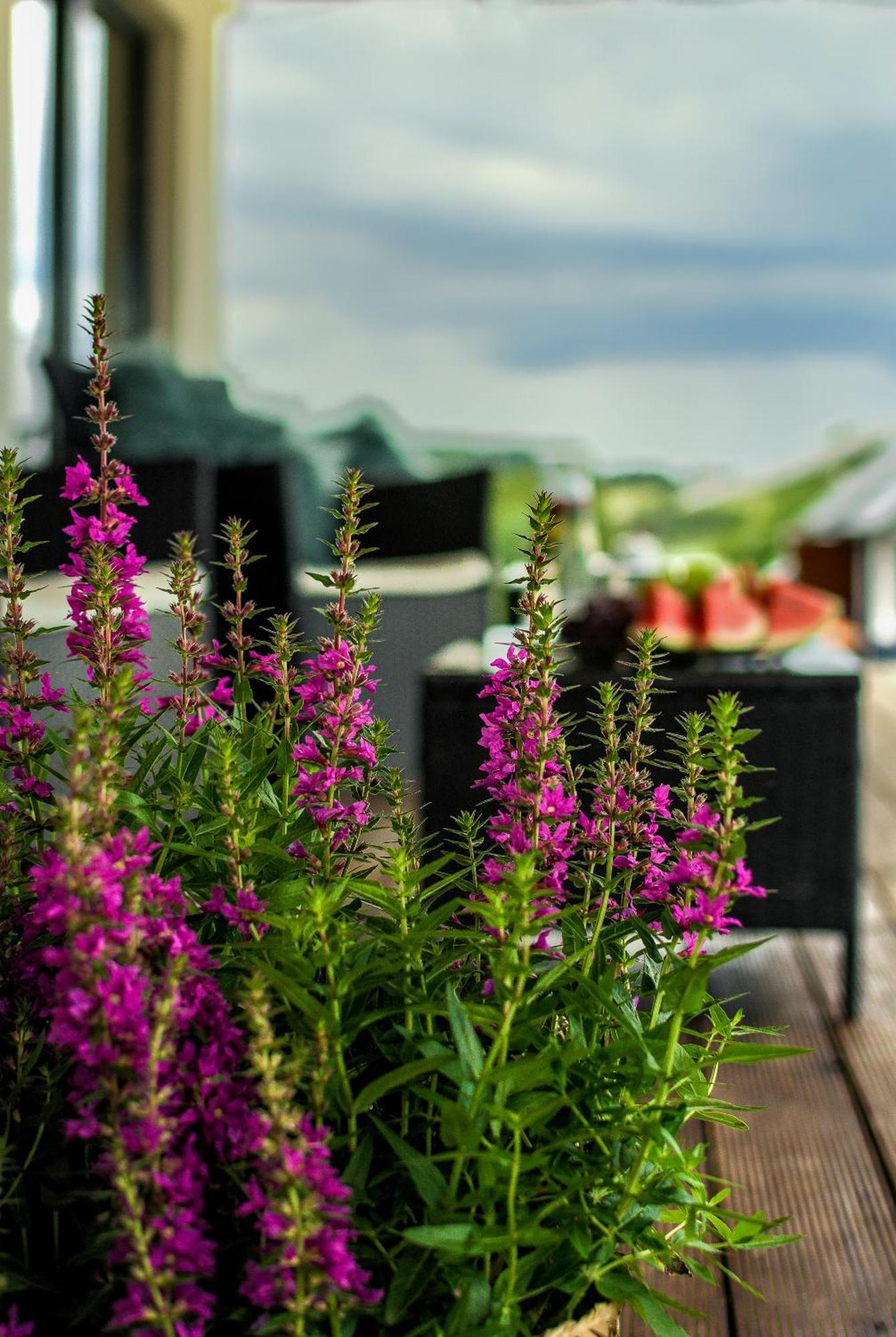 Pajda Mazur - Osrodek Wypoczynkowy Hotel Stare Jabłonki Exterior foto