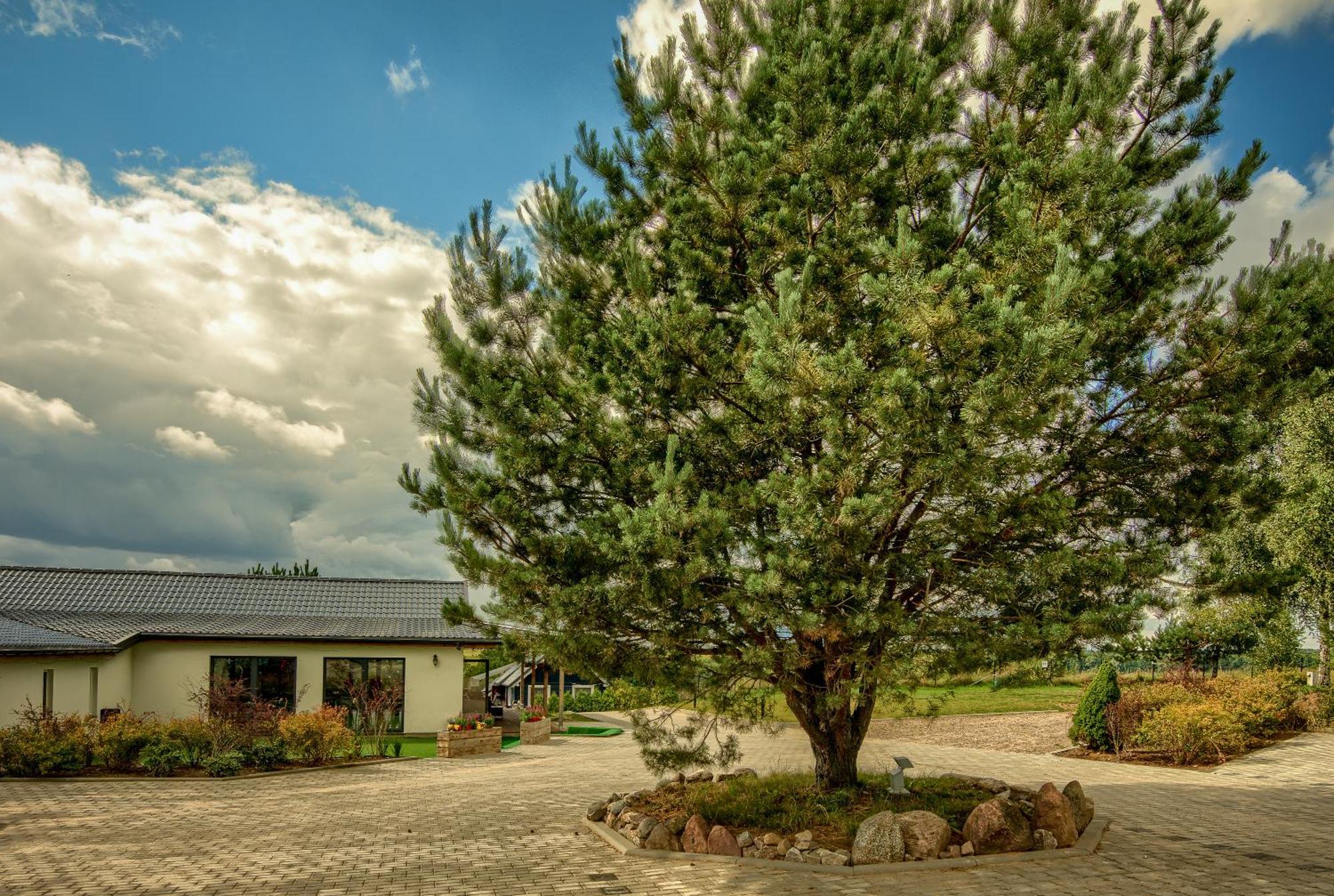 Pajda Mazur - Osrodek Wypoczynkowy Hotel Stare Jabłonki Exterior foto